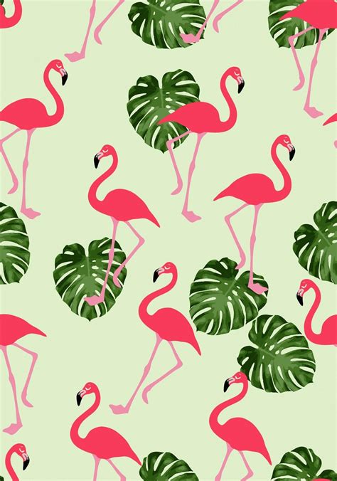 Cartoon Flamingo Wallpapers - Top Free Cartoon Flamingo Backgrounds ...