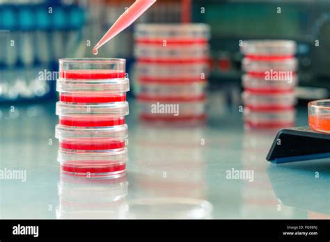 Biochemistry hi-res stock photography and images - Alamy