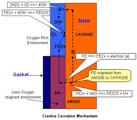 Chemical & Process Technology: Crevice Corrosion Mechanism & Prevention