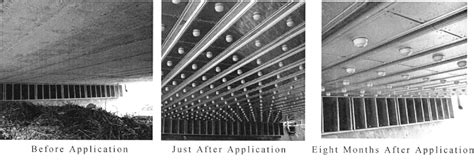 Figure 1 from A Construction Case of Galvanic Anode Systems Using ...