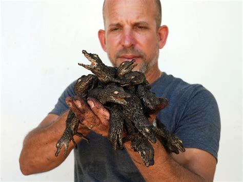 Photos: Scientists race to save Cuban crocodiles | Climate | Al Jazeera