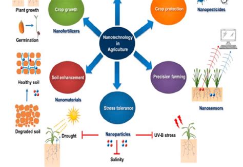 Nanotechnology applications in agriculture. | Download Scientific Diagram