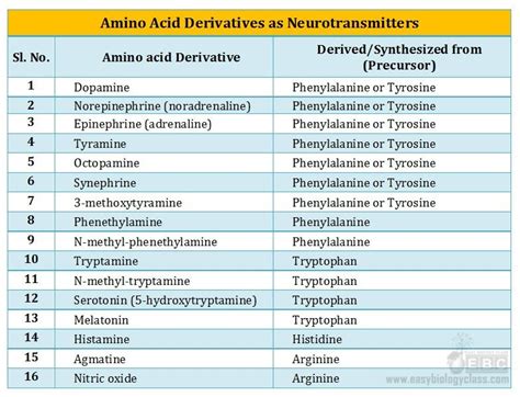 amino-acid-derivatives-as-neurotransmitters-precursors-neurotransmitters-easybiologyclass ...