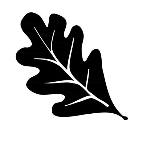 20.200+ Grafiken, lizenzfreie Vektorgrafiken und Clipart zu Oak Leaves Vector - iStock