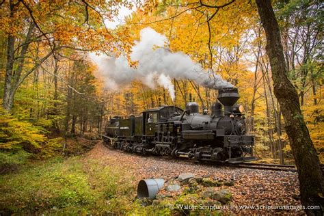 Cass Scenic Railroad | Locomotiva a vapore, Locomotiva, Vapore