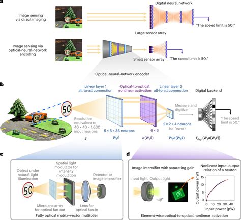 Optical neural networks hold promise for image processing