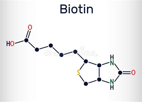 Biotin, Vitamin B7 Molecule. Structural Chemical Formula Stock Vector - Illustration of carbon ...