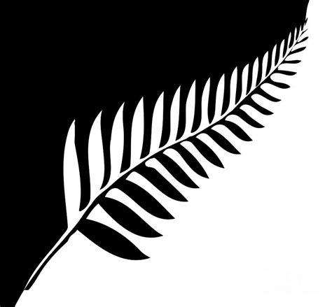 Silver Fern of New Zealand Digital Art by Bigalbaloo Stock - Pixels