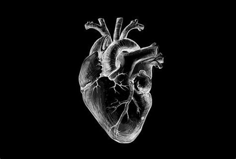 Black Heart | Heart artwork, Black heart, Black paper drawing