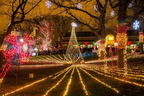 Lincoln Park ZooLights and Its More Than Two Million Lights Are Back | WTTW Chicago