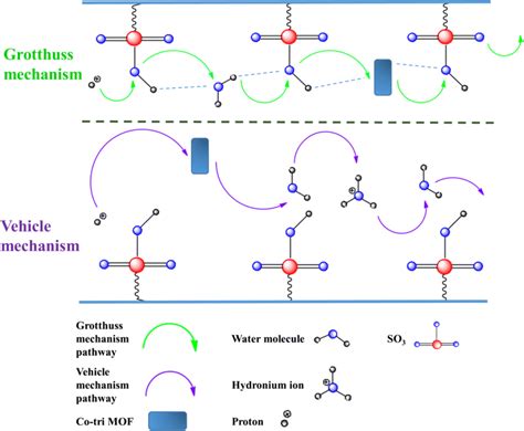 The possible proton transfer mechanism in the Co-tri MOF/Aquivion®... | Download Scientific Diagram