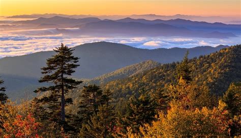 Best Spots for Capturing Fall Foliage in the Smoky Mountains