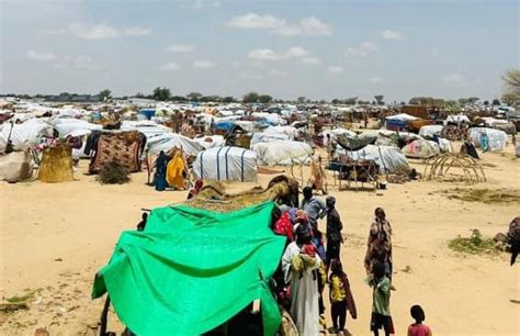 More Darfur refugees relocated to camps in Chad - Dabanga Radio TV Online