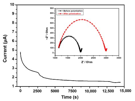 Chronoamperometry of the Li/PEO114-b-PDM15-dTFSI-1/5/Li cell. The inset ...