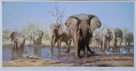 David Shepherd, signed, prints, happy time, elephants