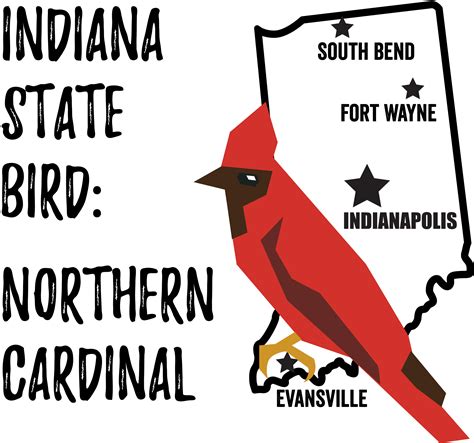 Indiana State Bird - Bird Watching Academy