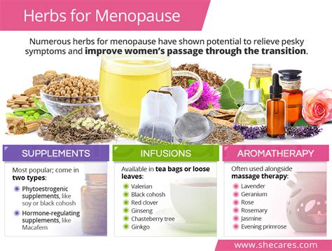 Herbs for Menopause: Herbal Supplements & Remedies | SheCares