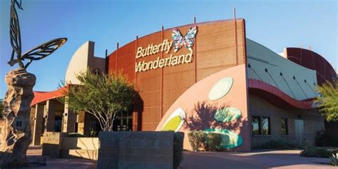 Visit Butterfly Wonderland in Scottsdale Arizona | Stay With Style Scottsdale