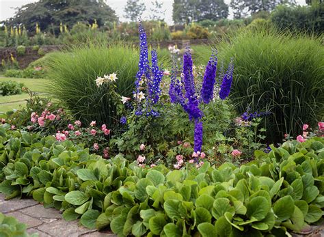 Hestercombe Gardens, Somerset, UK - Stock Image - B860/0539 - Science Photo Library