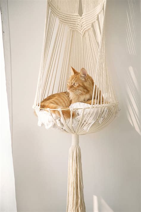 Macrame cat hammock Hanging cat bed Pet wall furniture Boho | Etsy