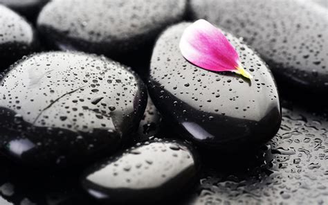30 Beautiful Black Wallpapers for your Desktop Mobile and Tablet - HD