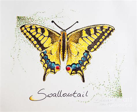 Swallowtail - Butterfly Drawing by Katharina Filus | Fine Art America