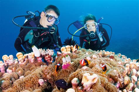10 ways to experience the Great Barrier Reef - Queensland Blog