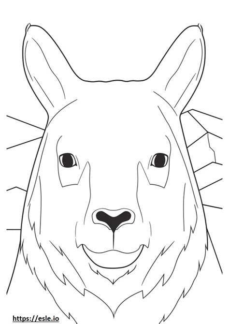 Arctic Hare coloring pages - free printable