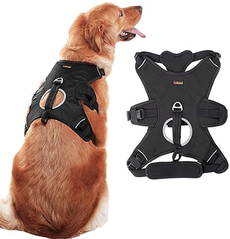 9 Best Escape Proof Dog Harnesses in 2023 | Review & Top Picks