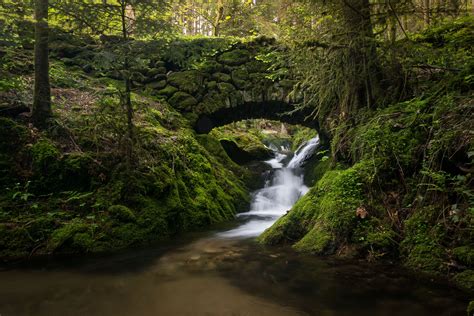 Wallpapers Germany Bridges Stream Moss Black Forest Nature Image ... Photography Rules, Fine Art ...