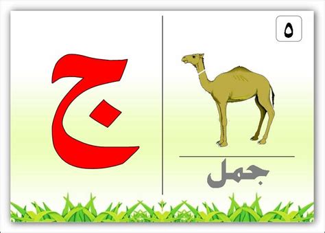 الأبجدية العربية..حرف الجيم | Arabic alphabet for kids, Arabic alphabet ...