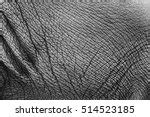 Elephant Skin Texture Free Stock Photo - Public Domain Pictures