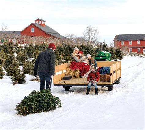 Christmas Tree Guide | Types, Tips & Trivia - Yankee Magazine