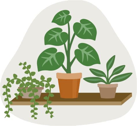 Plants Potted Houseplant - Free GIF on Pixabay