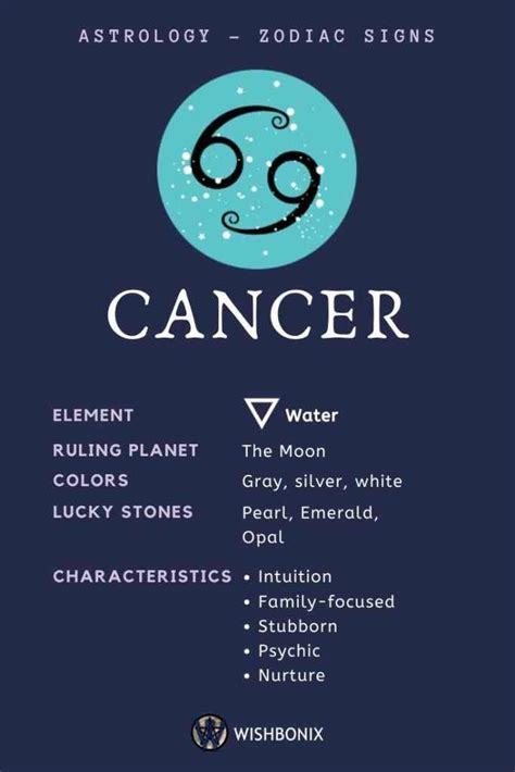 Sun Signs in Astrology and Their Meaning in 2021 | Cancer zodiac facts, Zodiac signs cancer ...