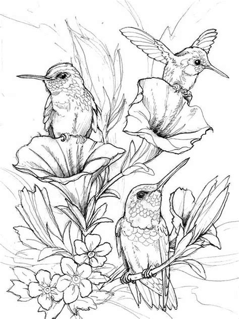 Hummingbird Printable - Printable Word Searches