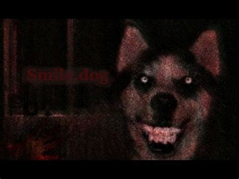 Creepypasta ITA #5 Smile dog.jpg - YouTube