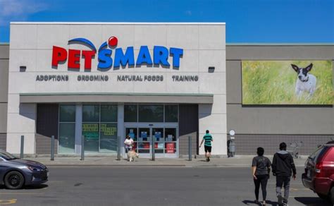 What Time Does PetSmart Close? A Comprehensive Guide to Store Closing Hours - Petsmartgo