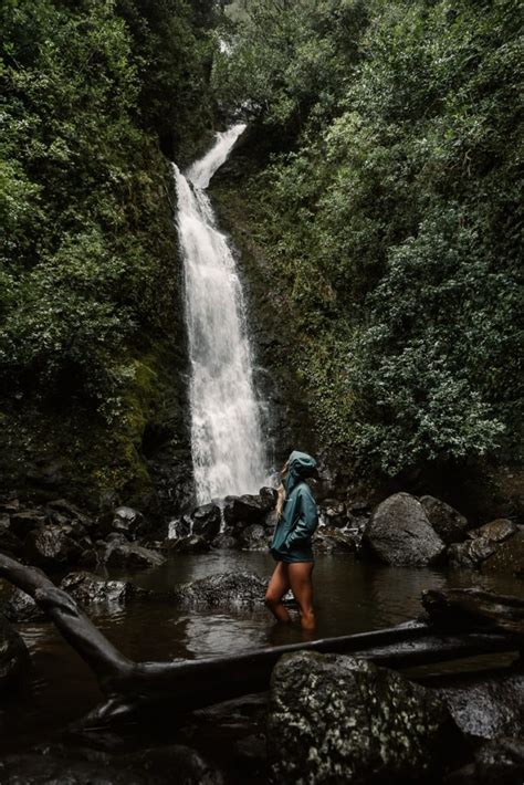 Hiking Lulumahu Falls, What to Expect | Where We Went Next