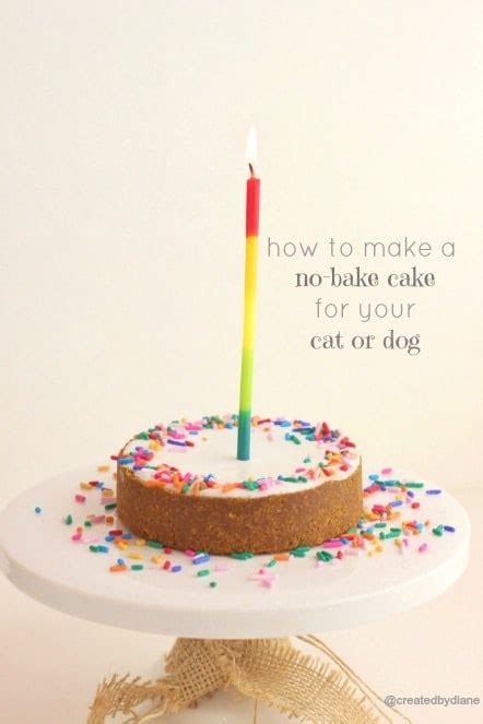 How to make a no-bake cake for your cat or dog | Created by Diane