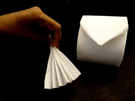 Accessorize your toilet rolls with Toilet Paper Origami {Tutorial} - Mommy Snippets