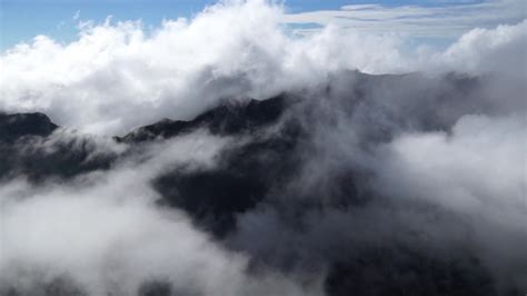 moving fog clouds cloudforest mountains horton Stock Footage Video (100 ...