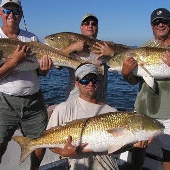 Hatteras, NC Fishing Charter | Free Agent Sportfishing