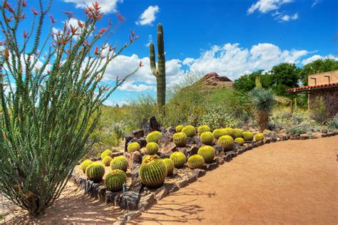 Desert Botanical Garden | Phoenix Outdoors Stories