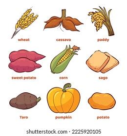 Illustration Various Types Staple Foods These Stock Vector (Royalty ...