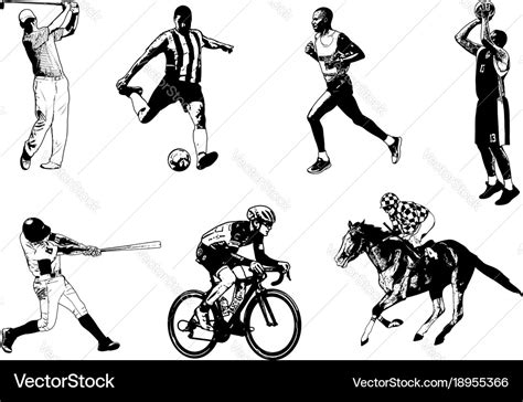 Various sports sketch Royalty Free Vector Image