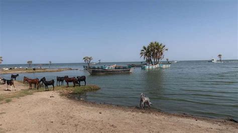 KE – Lake Turkana National Parks | All About World Heritage Sites