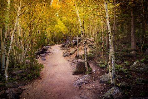 Fall Colors in Rocky Mountain National Park 2024 - Rove.me