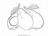 Avocado Up Cut Coloring Page For Kids  Free Printable sketch template