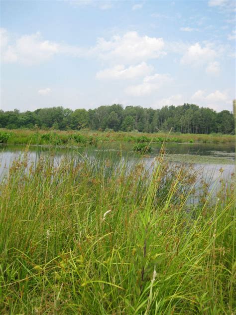 An Influx of Funding for Wetland Conservation Could Kickstart Your Next Big Project